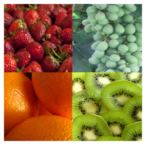 selection of fruits